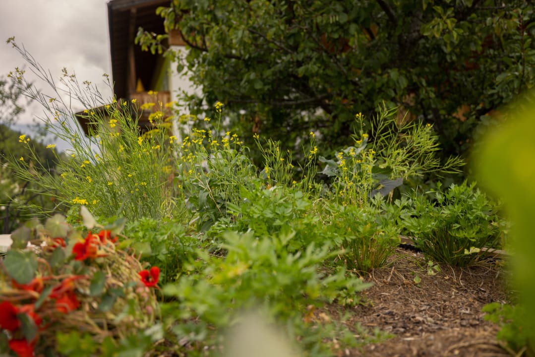 Gartenanlage Hotel Jörglerhof