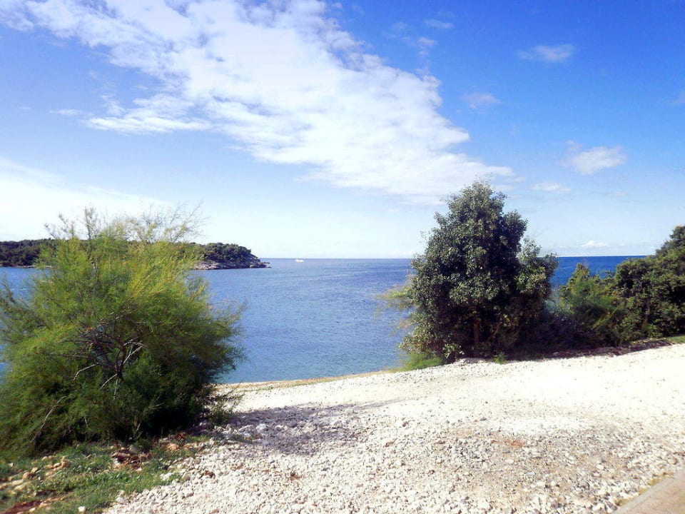 Meerblick  Park Plaza Verudela Pula