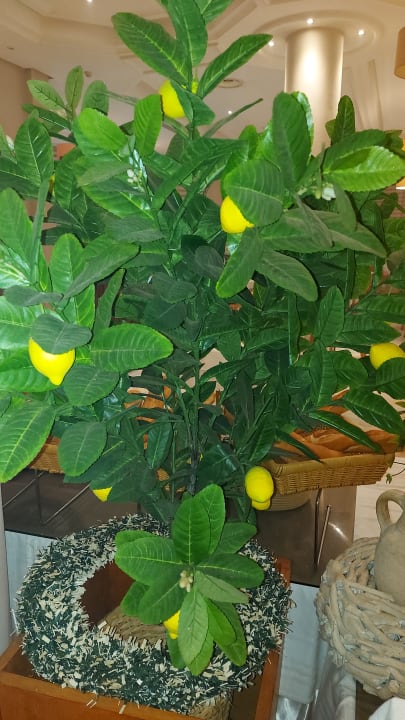 Gastro Hotel Royal Nozha