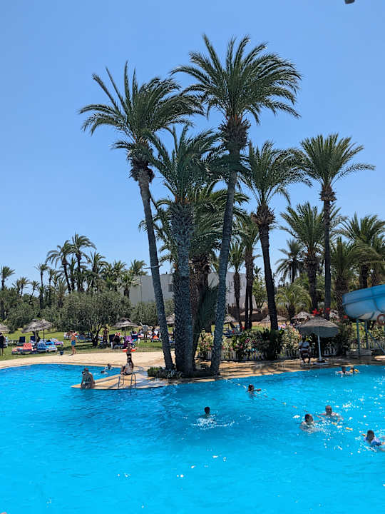 Pool Calimera One Resort Jockey