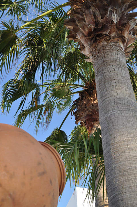 Palm Hotel Village Ibiza