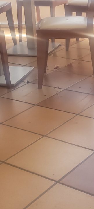 Gastro Globales Bouganvilla