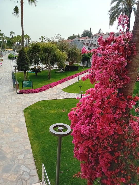 Gartenanlage Arum Barut Collection