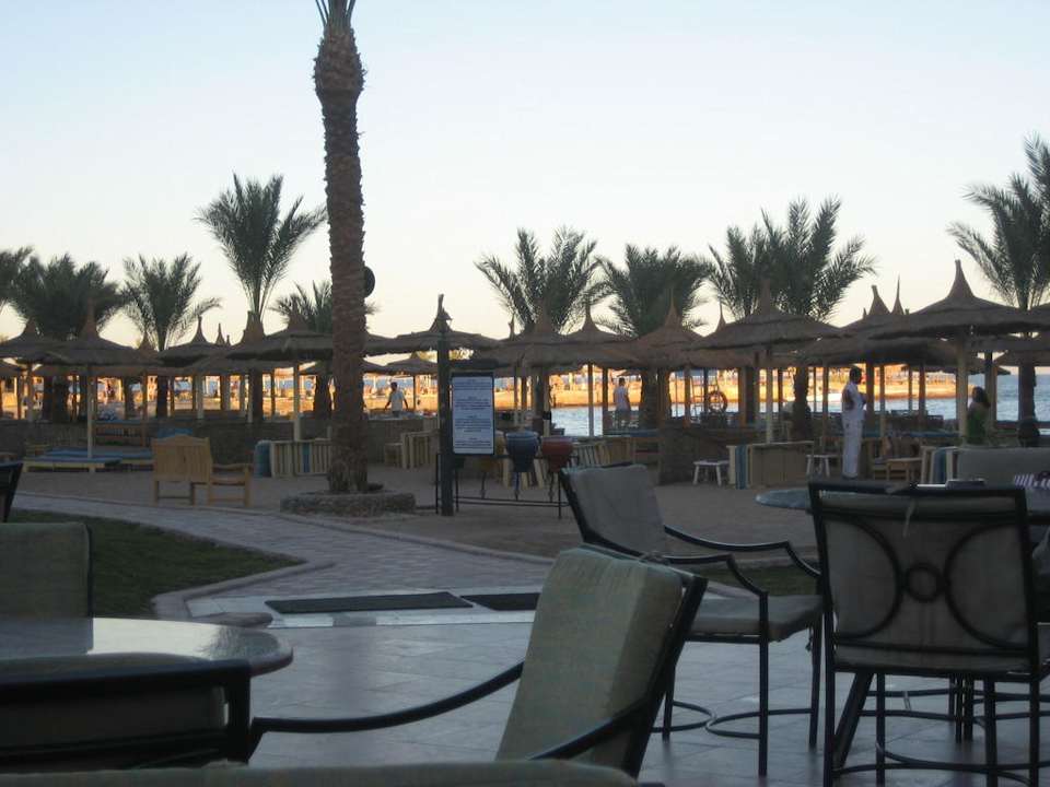 Blick von der Aussenterrasse auf das Meer Pickalbatros Palace Resort