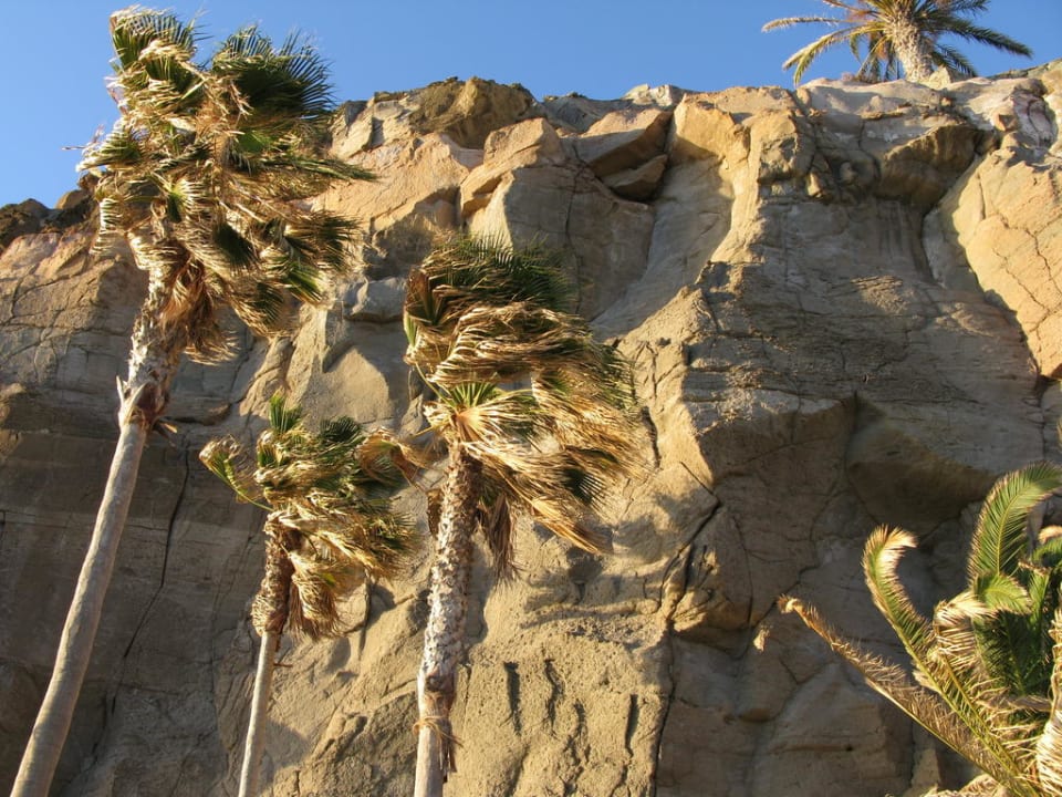 Garten Princess Taurito