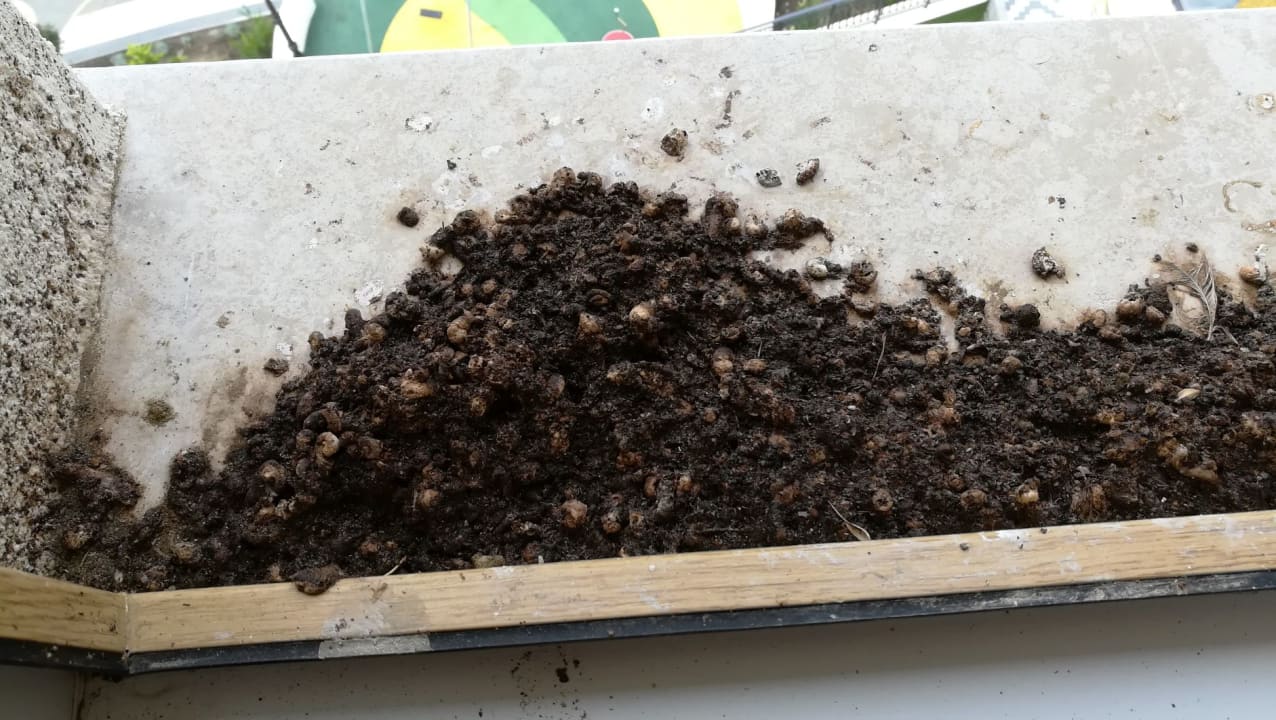 Sonstiges Marina Sands Boutique