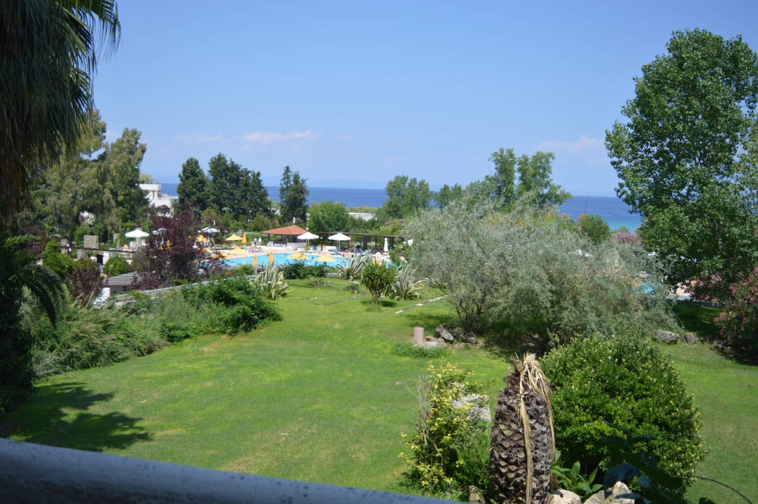 Ogród Hotel Athos Palace