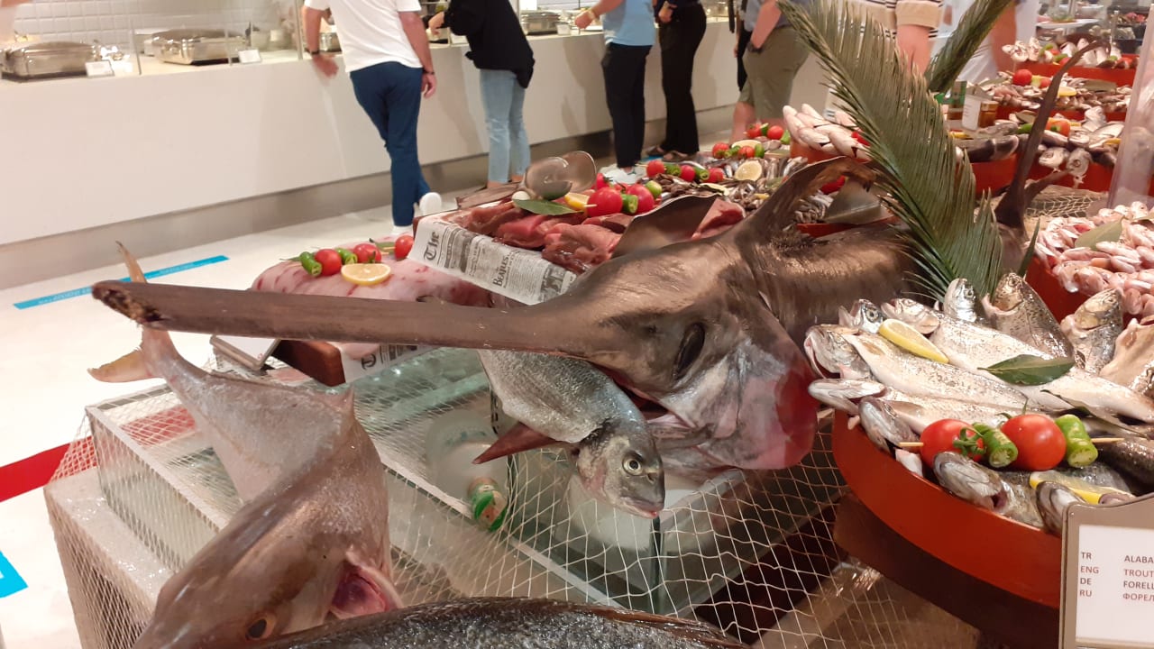 Gastro Acanthus Cennet Barut Collection