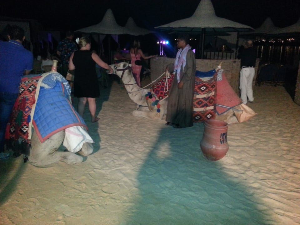 Lagerfeuerabend Steigenberger Coraya Beach - Adults only