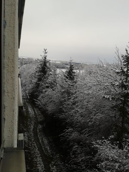 Ausblick Zimmer hinten raus Hotel Bären