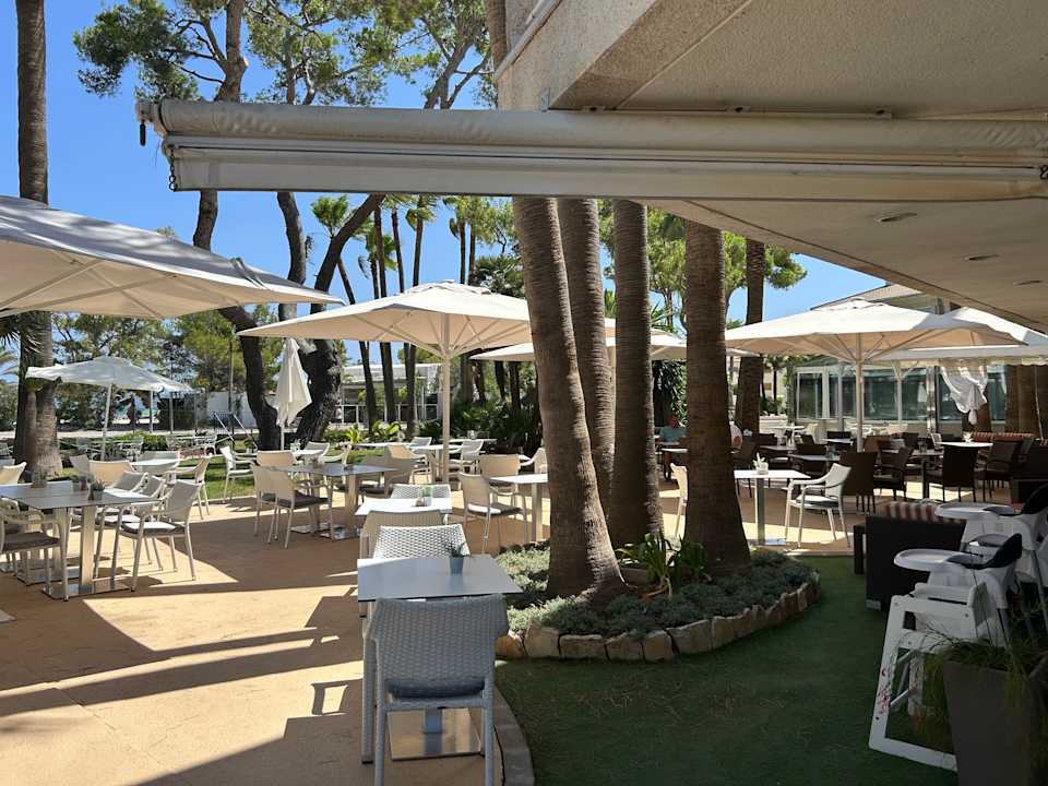 Gastro allsun App.-Hotel Orquidea Playa