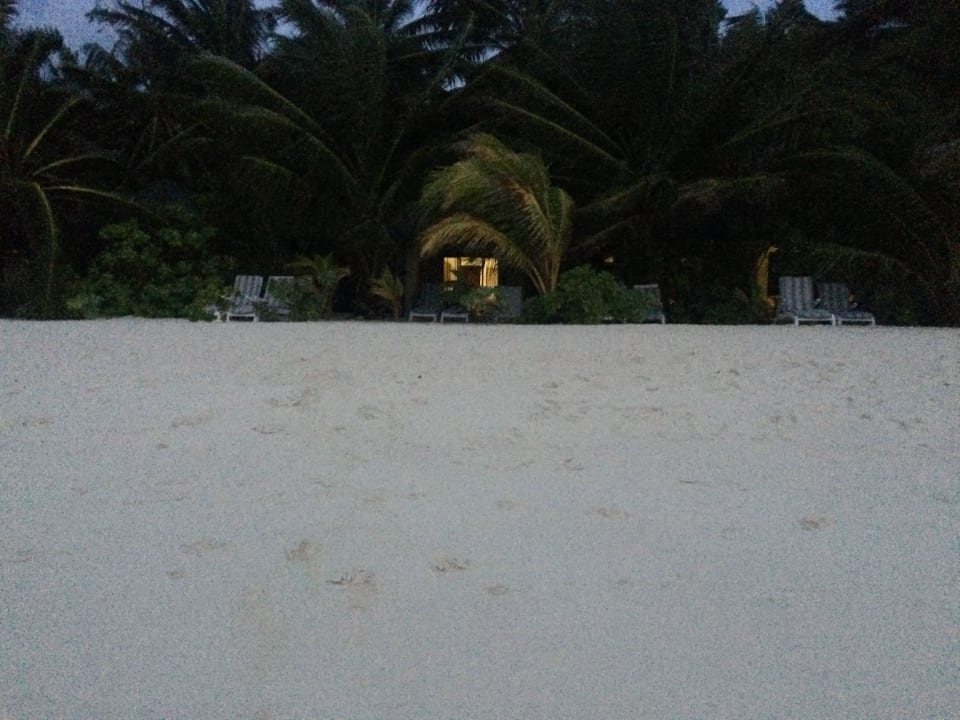 Vom Strand aus Richtung Bungalow  Summer Island Maldives