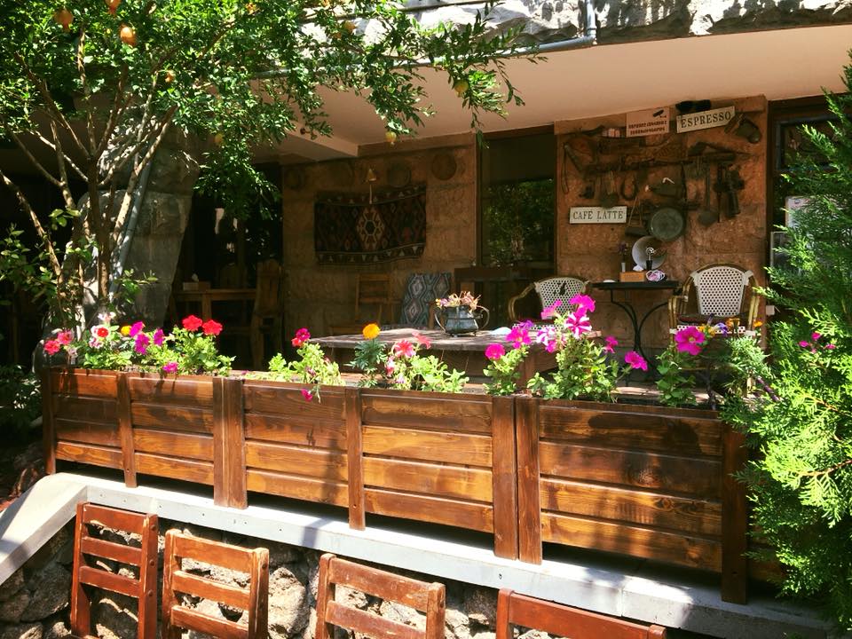 Gartenanlage Silk Road Hotel