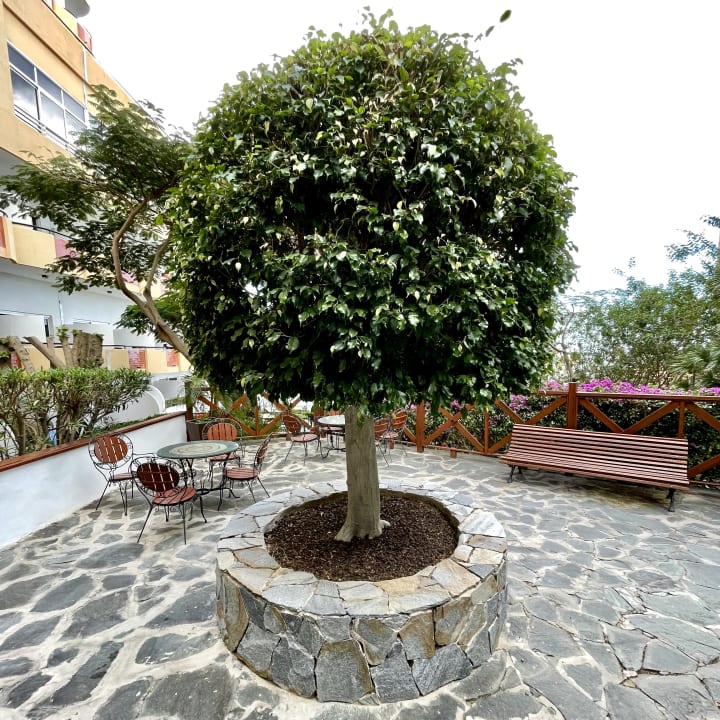 Gartenanlage allsun Hotel Lucana