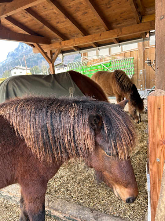 Gartenanlage POST Family Resort