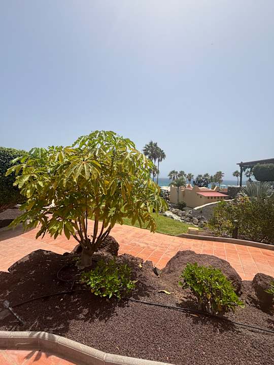 Gartenanlage Hotel H10 Tindaya
