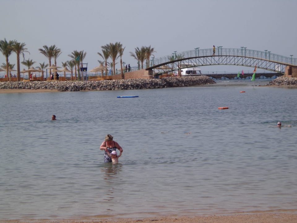 Toller Strand Desert Rose