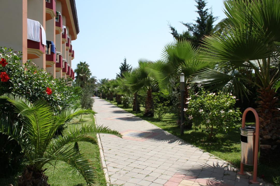 Der Weg zu unserem Zimmer Hotel Orfeus Park