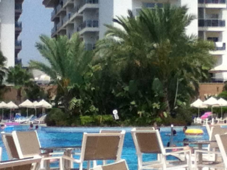 Pool Seaden Sea World Resort & Spa