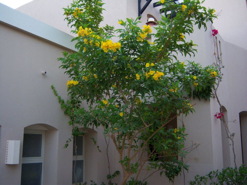 Gartenanlage TUI MAGIC LIFE Kalawy