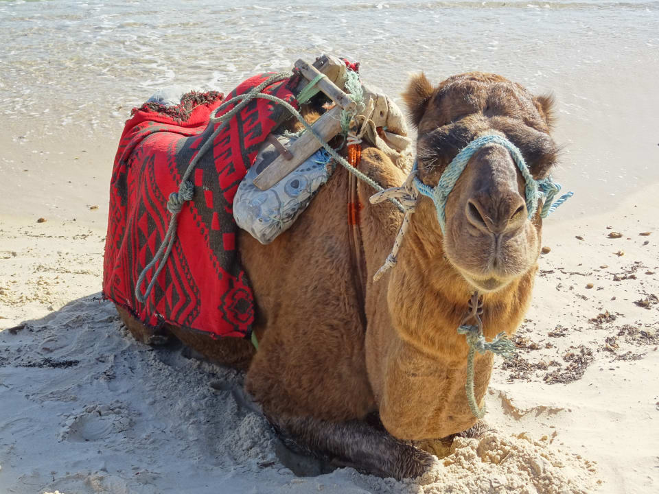 Strand Hotel Nesrine