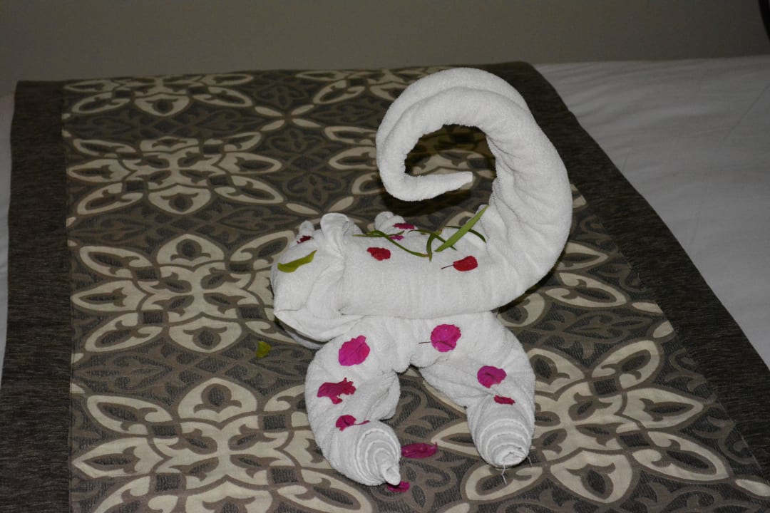 Jaz Makadi Saraya Resort Jaz Makadi Saraya Resort