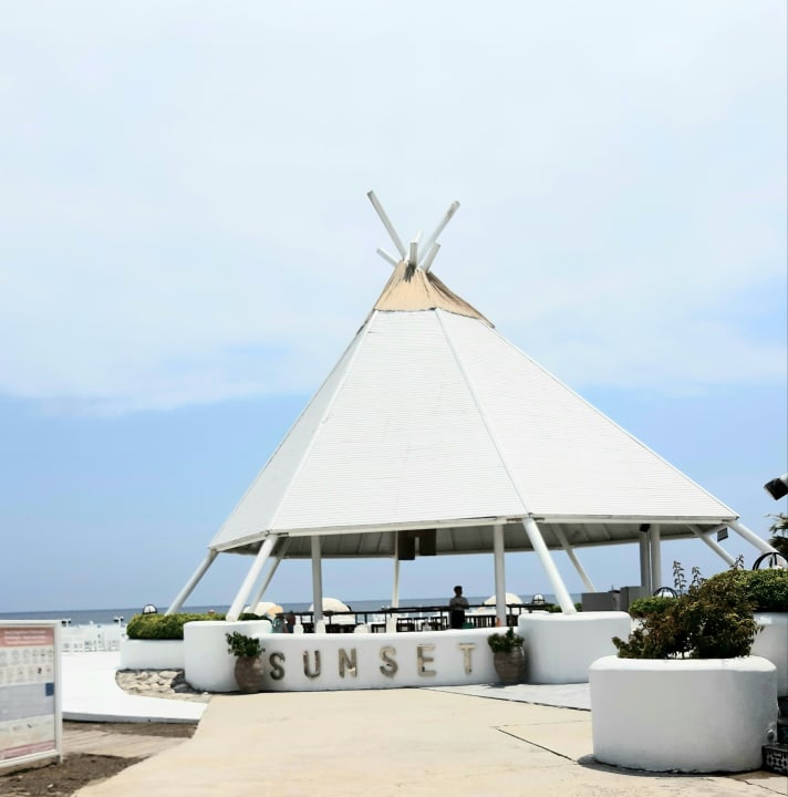 Gastro Balmy Foresta