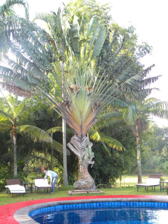 Für mich der schönste Ort der Anlage Hotel Nagahill Resort