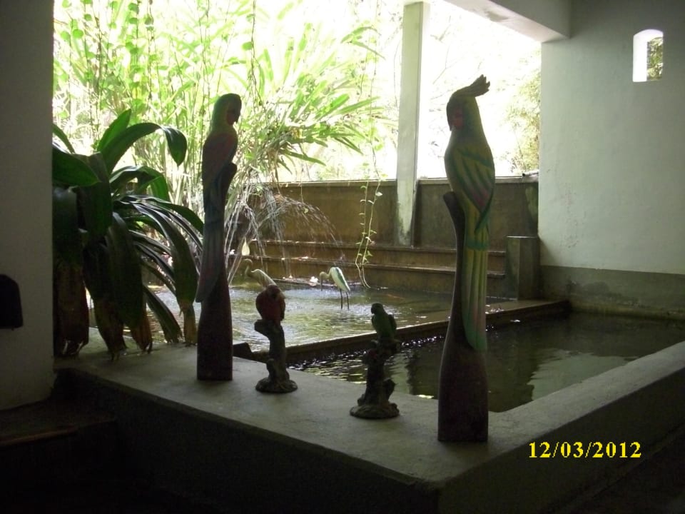 Teich Earl’s Reef Beruwala