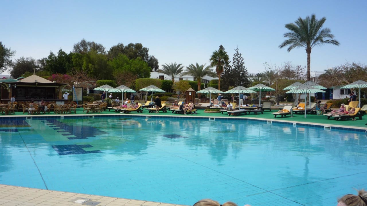 Pool am Hotel  Ghazala Beach
