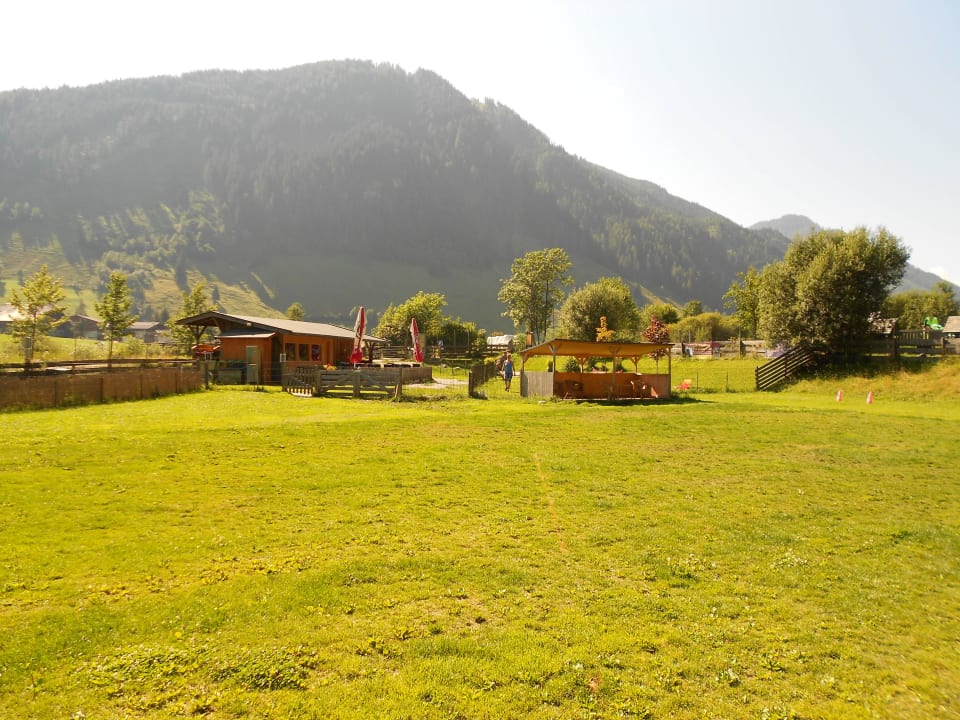 Hundebeschäftigung  Hotel Grimming