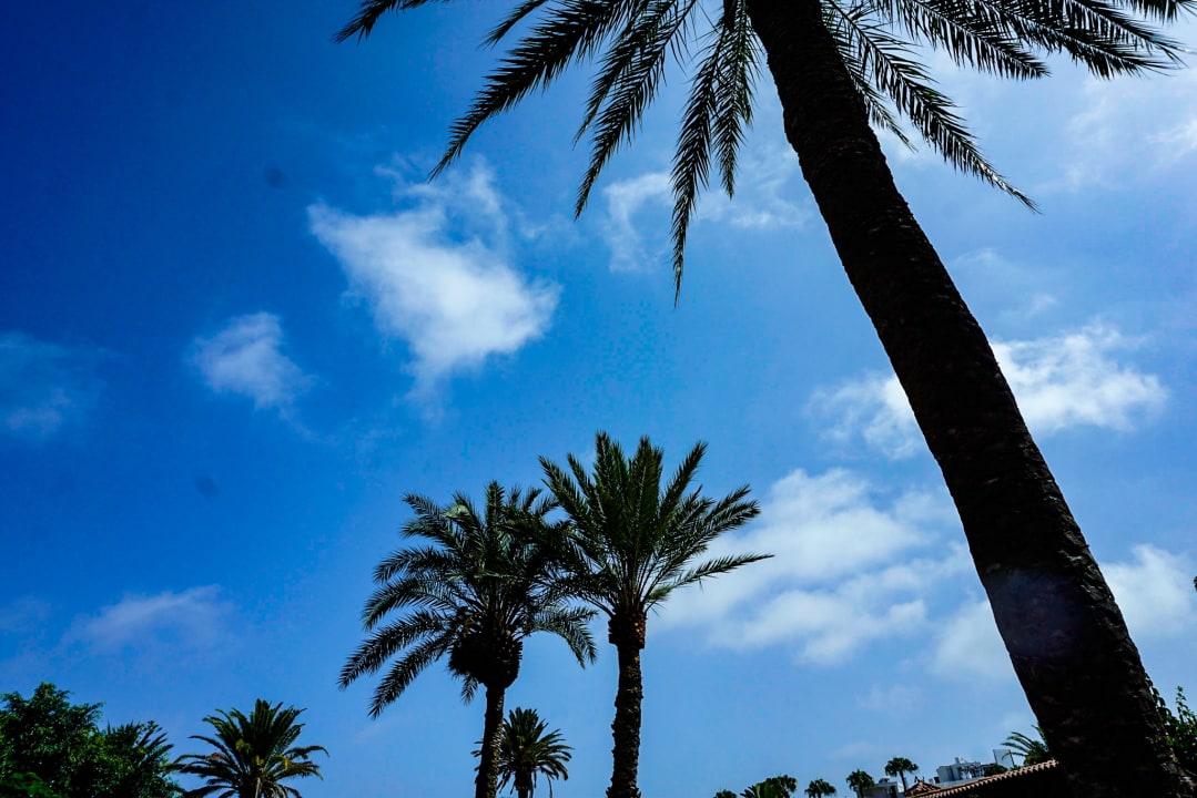 Gartenanlage HL Miraflor Suites Hotel