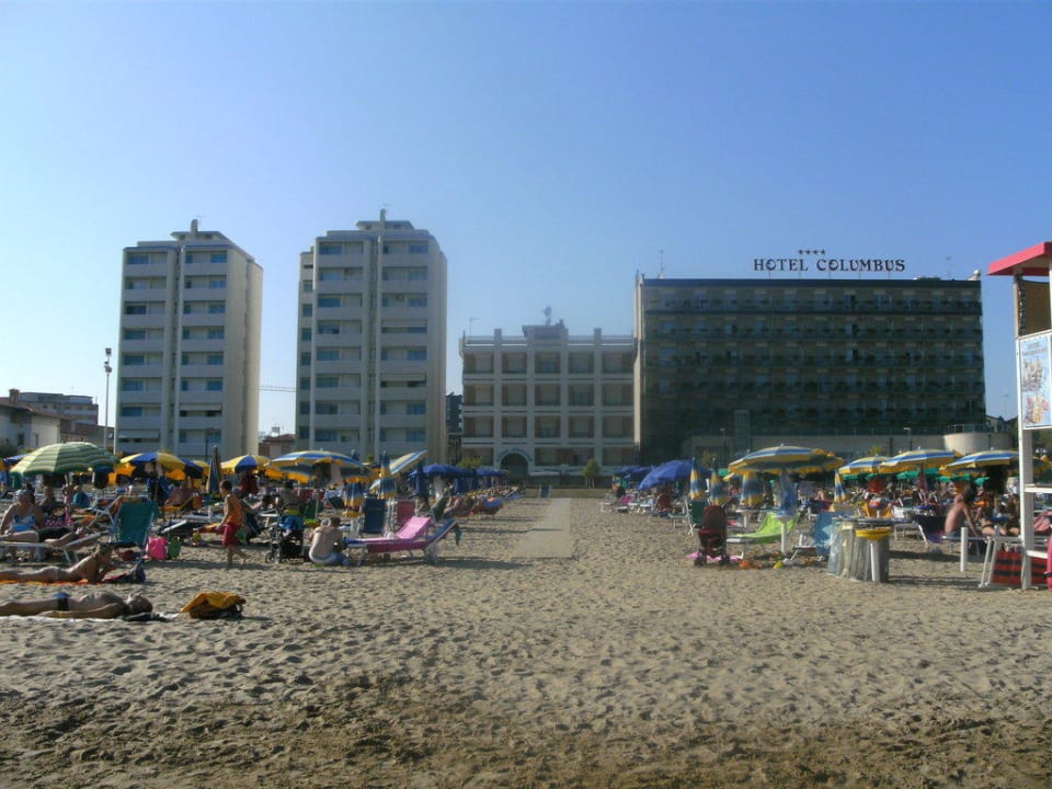 Hotel  Hotel Nettuno