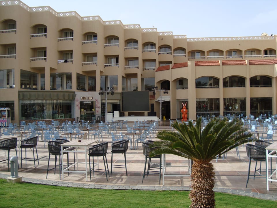 Gartenanlage Beach Albatros Resort