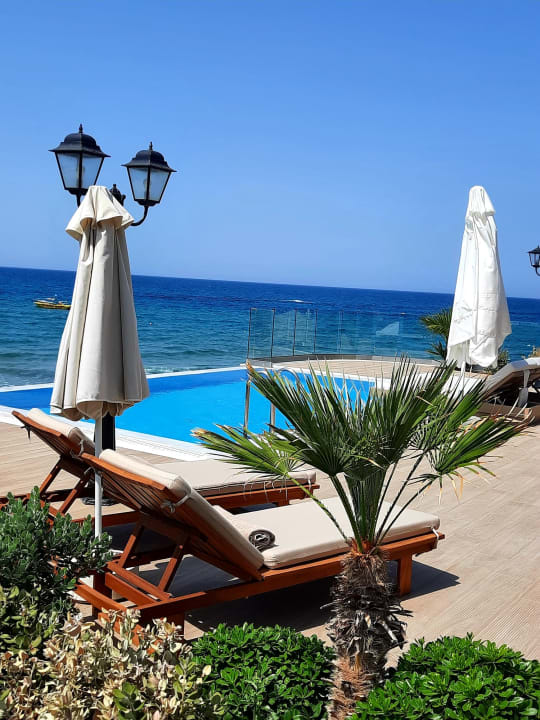 Zimmer Alexander Beach Hotel & Village Resort