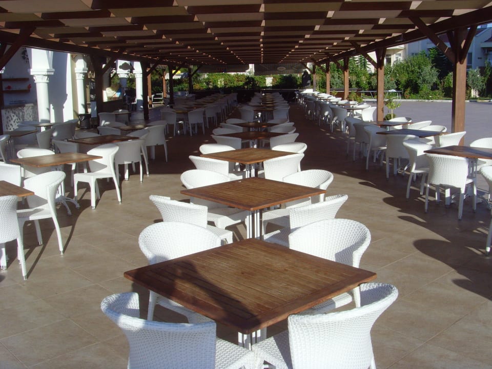 Bar pool Side Star Resort