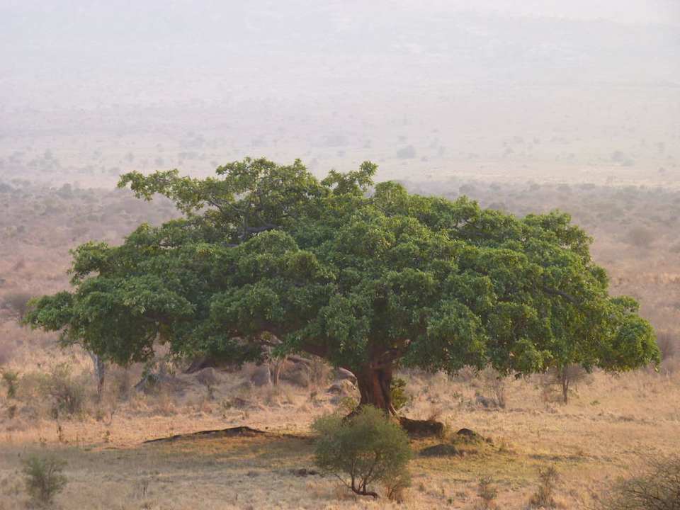 Ausblick  Rhino Valley Lodge