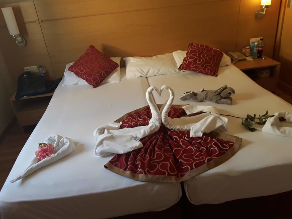 Zimmer Alaiye Resort & Spa