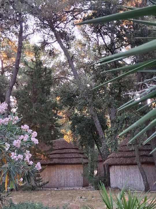 Zimmer Pine Beach Pakostane