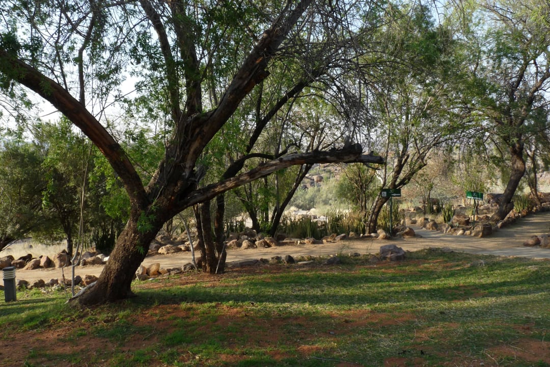 Weg zu denWasserfällen Augrabies Falls Restcamp