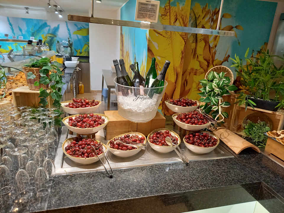 Gastro Iberostar Waves Pinos Park