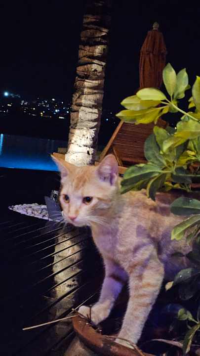 Sonstiges Sands Suites Resort & Spa