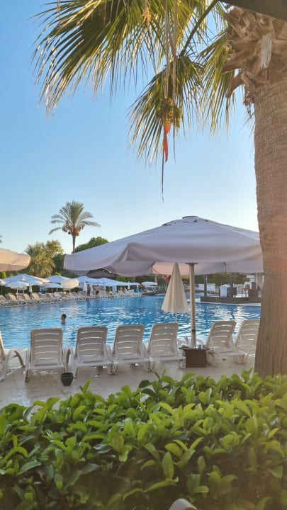 Pool Sunis Elita Beach Resort & Spa