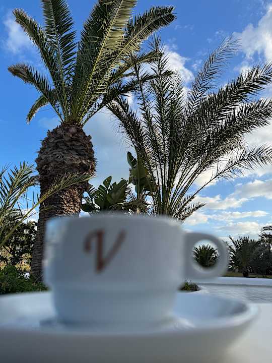 Gartenanlage Vincci Helios Beach