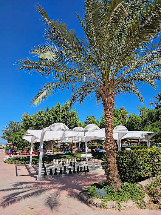 Sport & Freizeit Desert Rose