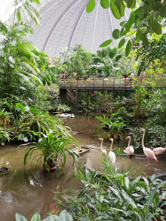 Ausblick Tropical Islands Resort