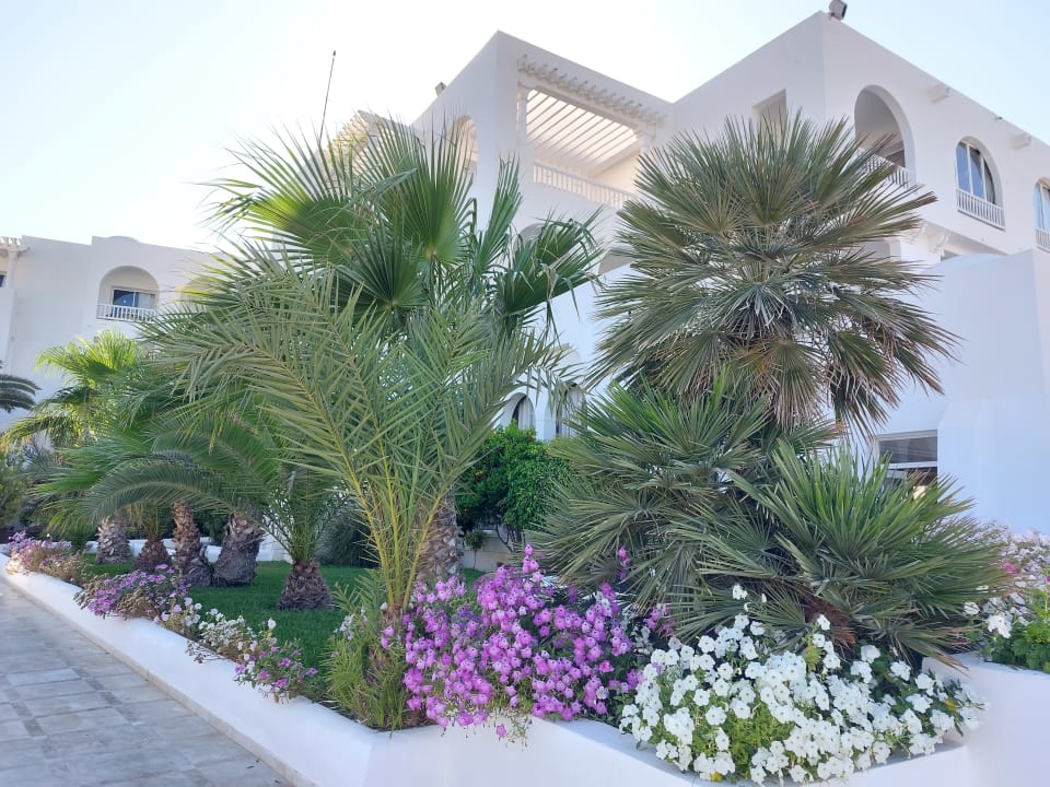Außenansicht Vincci Helios Beach