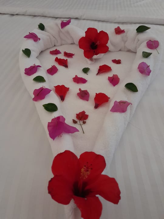 Zimmer MG Alexander The Great Hotel