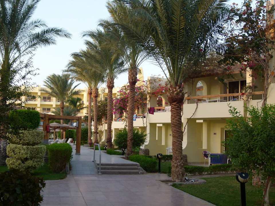 Seitlich der Poolbar  Palm Beach Resort