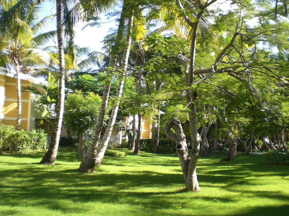 Unterkünfte Bavaro Grand Palladium Select Bávaro Resort & Spa